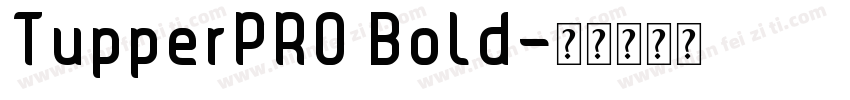 TupperPRO Bold字体转换